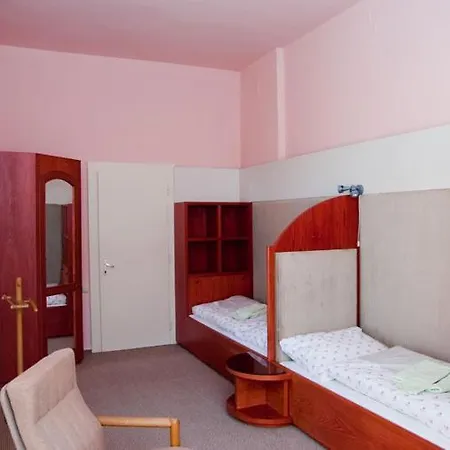 Hotell Vladni Vila 3*