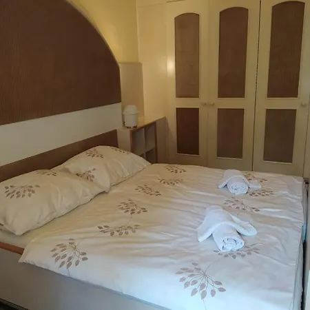 Hotel Vladni Vila 3*